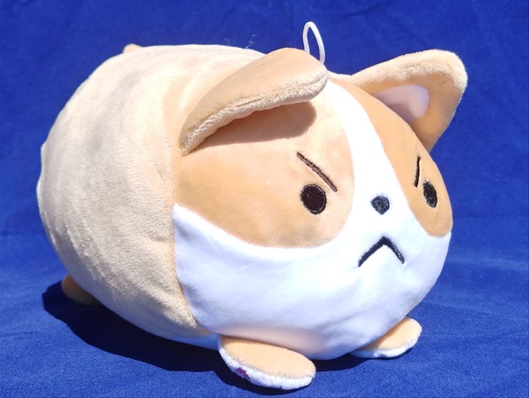 Aniji Dogs - Choji Corgi Dog Angry 18cm Plush