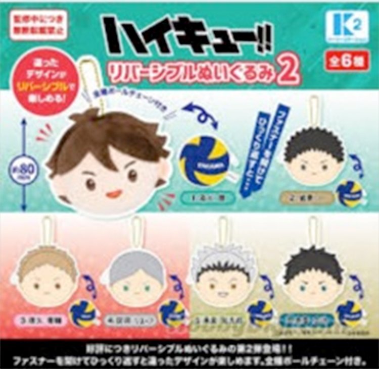 Haikyuu - Dual Purpose Storage Bag Vol. 2 SINGLE BLIND BOX CAPSULE