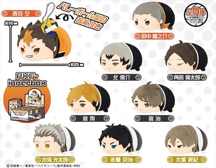 Haikyuu to the Top - Mochi Mochi Mascot Vol. 3 Re-release SINGLE BLIND BOX