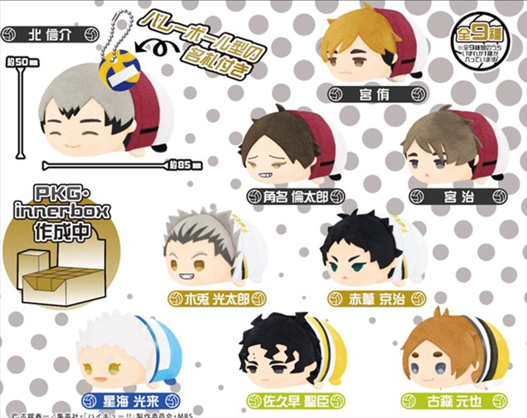 Haikyuu To the Top - Mochi mochi Mascot Vol. 2 Single Blind Box