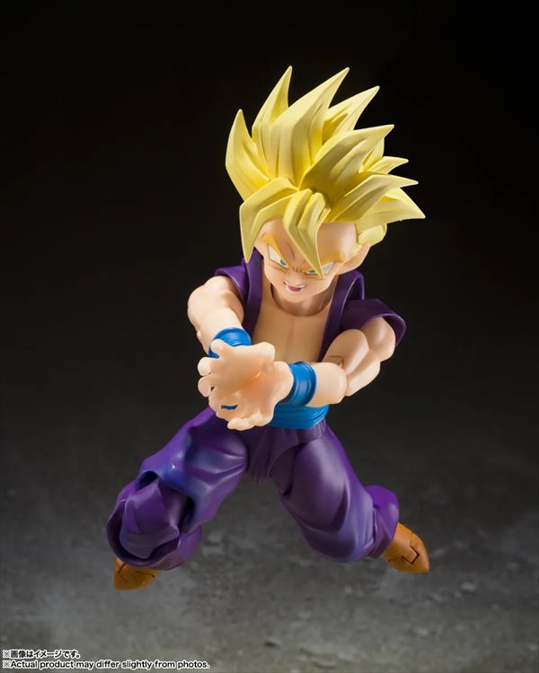 Dragon Ball Z - Son Gohan Warrior who Supassed Goku S.H.Figuarts