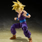 Dragon Ball Z - Son Gohan Warrior who Supassed Goku S.H.Figuarts