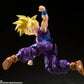 Dragon Ball Z - Son Gohan Warrior who Supassed Goku S.H.Figuarts