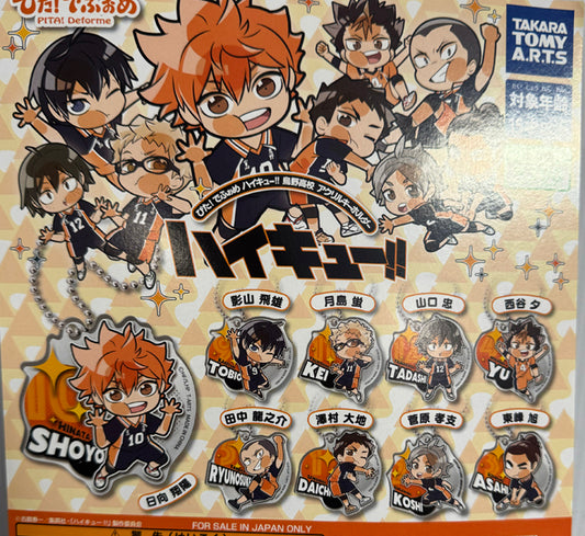 Haikyuu - Arcylic Keychain SINGLE BLIND BOX CAPSULE