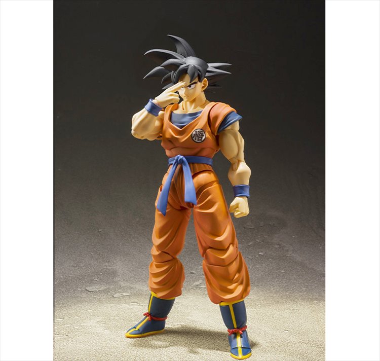 Dragon Ball Z - Son Goku A Saiyan Raided on Earth S.H.Figuarts