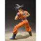 Dragon Ball Z - Son Goku A Saiyan Raided on Earth S.H.Figuarts