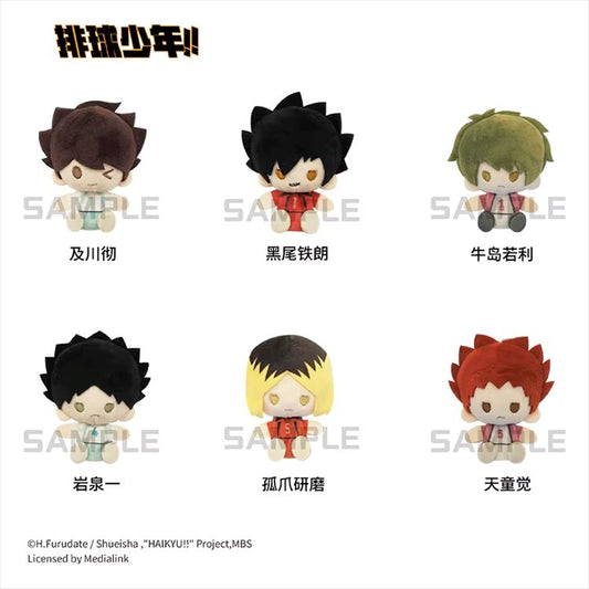 Haikyuu - Pearl Velvet Pin Doll Vol. 2 SINGLE BLIND BOX
