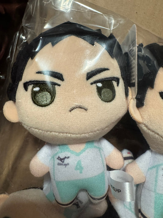 Haikyuu!! - Hajime Iwaizumi 12cm Haikyuu!! Vol. 1 Puchish! Plush