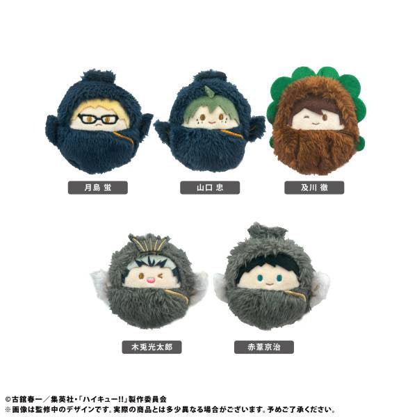 Haikyuu - Kurumi Tapinui Vol. 2 SINGLE BLIND BOX