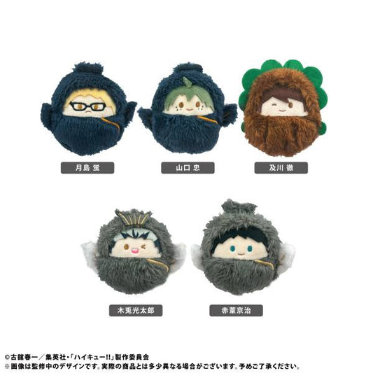 Haikyuu - Kurumi Tapinui Vol. 2 SINGLE BLIND BOX