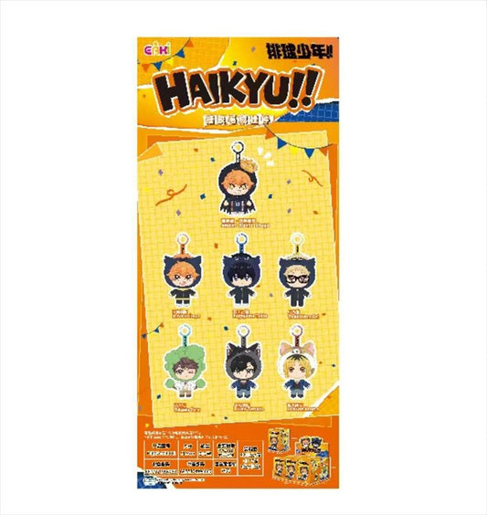 Haikyuu!! - Costume Series Plush SINGLE BLIND BOX
