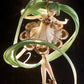 Vocaloid - Hatsune Miku Symphony 5th Anniversary Ver. PVC Figure