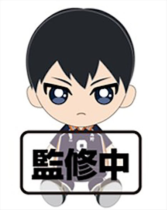 Haikyuu - Tobio Kageyama 14cm Plush