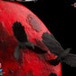 Naruto Shippuden - 1/8 Itachi Uchiha PVC Figure