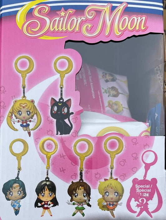 Sailor Moon - Hangers Keychain SINGLE BLIND BOX